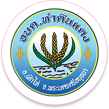 องค์การบริหารส่วนตำบลท่าดินแดง